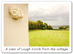 A view of Lough Corrib from the cottage