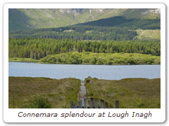 Connemara splendour at Lough Inagh