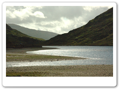 Doo Lough 2